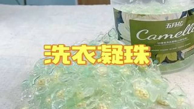 到手两大桶的山茶花味洗衣凝珠，洗得很干净，味道也很好闻#洗衣凝珠 #生活好帮手 #洗护好物