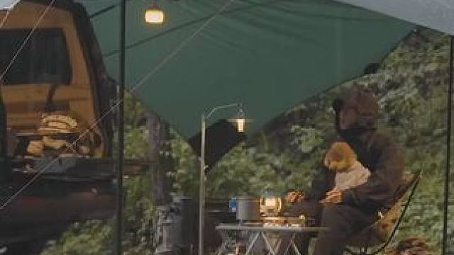 大雨自驾户外露营，一人一狗精致营地生活...