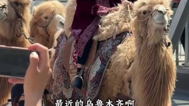 约上亲朋好友约聚起来 #来新疆必吃的美食 #劲享西北好风味 #劲入西北 #劲酒陪你西北行