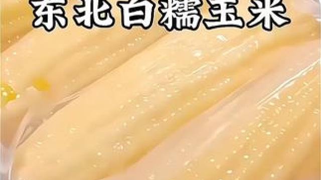 白糯玉米#多吃粗粮有益健康 #又粘又糯又劲道 #白糯玉米#好吃到停不下来 #超便宜超划算