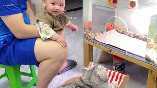 #猫和宝宝的日常 #萌娃和萌宠