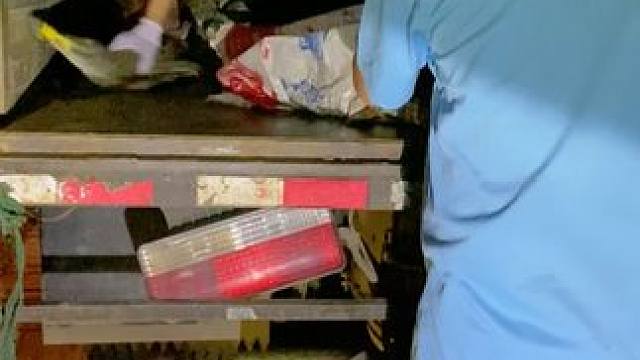 "鳄"皮，"带"你走在时尚前沿#鳄鱼 #鳄珍 #皮带