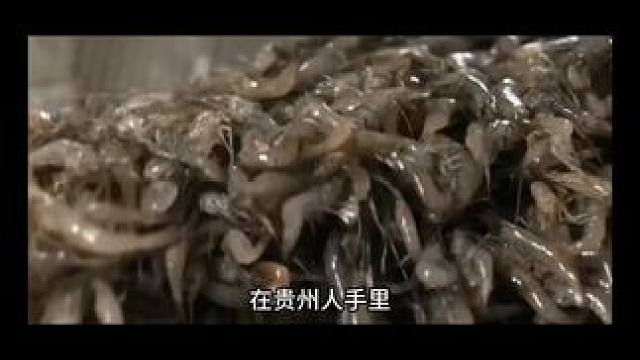 虾酸#地方特色美食 #饮食文化 #地方特产