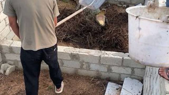 鳄鱼豪华大包间…