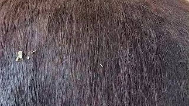 我发布了一个新视频，快来围观吧！