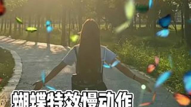 蝴蝶特效慢动作 我们说过要永远在对方身边 #娟教程