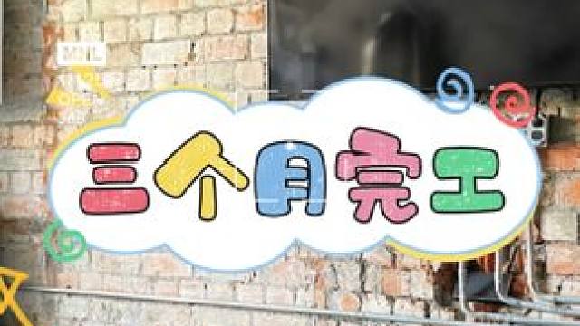 和我一样预算有限，想自己装的朋友一定要搞清楚装修顺序，一但错了可能就得需要拆除，我花了一天的时间整理