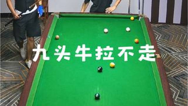 说又说不听 听又听不懂#拿球说话 #招牌动作 #这操作都看傻了 #是时候展现真正的技术了 #台球教学