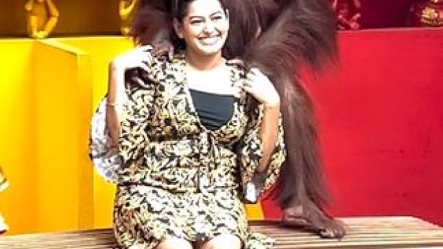 #国外视频分享 #猴子成精 #泰国网红猩猩