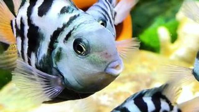 六一儿童快到了，送给自己，谁还不是一个宝宝呢，不管你多大年龄，只要心中不长草，每个儿童节都属于你！#