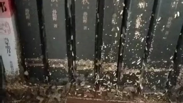 我发布了一个新视频，快来围观吧！