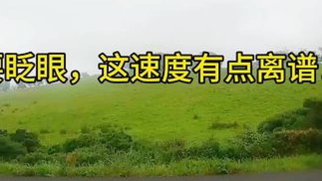 人在前面飞，魂在后面追，令人窒息的速度#2024曼岛TT #nw200公路赛