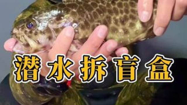 上个视频粉丝说，潜水抓海鲜的视频太短了不够看，今晚安排一起赶海拆盲盒 #赶海 #户外赶海抓海鲜 #我