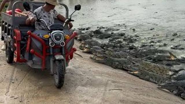 家人们，有想过来一起喂鱼的么