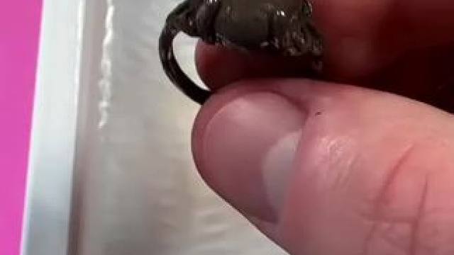 从此自己可以在家清洗眼镜首饰了！#超声波清洗