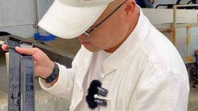 "鳄"出风采：皮带中的艺术品#鳄鱼 #鳄珍 #皮带