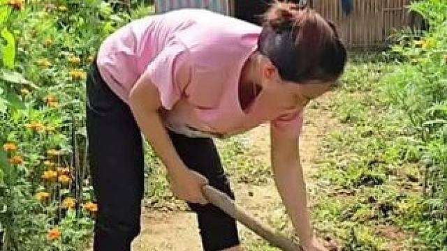 阿萍和狗狗在一起太温馨了，他的庇护所要半个月锄一次草才行#野外生存 #国外生活 #单亲妈妈