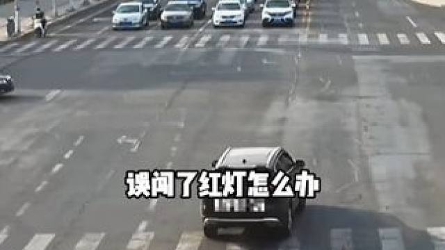 误闯了红灯怎么办，如何正确补救 #汽车知识