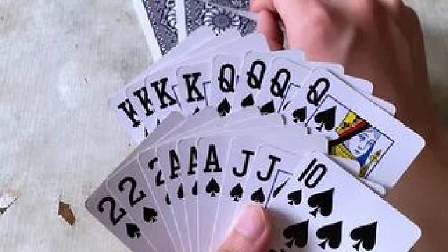 #斗地主 #这操作都看傻了 #意想不到的结局 #是时候展现真正的技术了