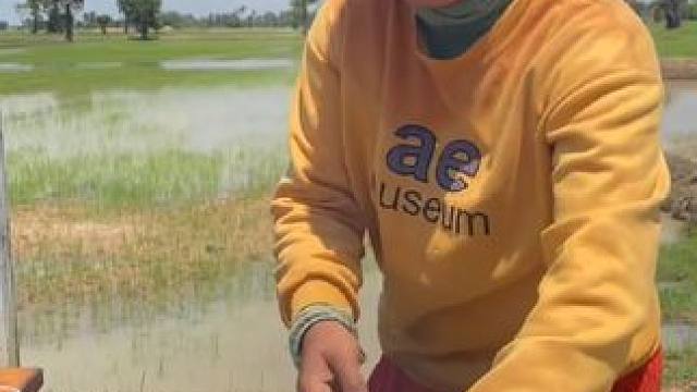 春卷#农村生活 #农村美食 #乡村味道 #干净又卫生