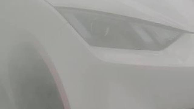 请欣赏您的定制海鸥#车身改色贴膜 #高级感车膜推荐 #比亚迪海鸥 #比亚迪海鸥改装