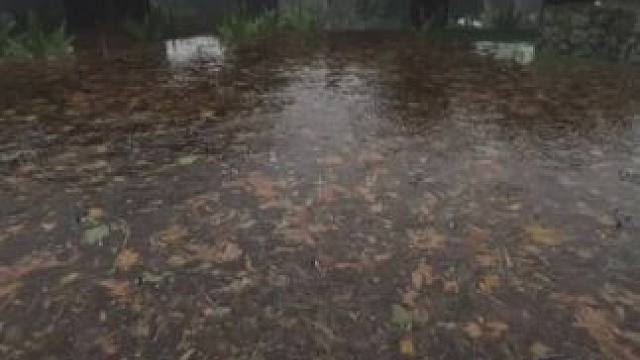 主页有我的世界手机版宝可梦 #我的世界