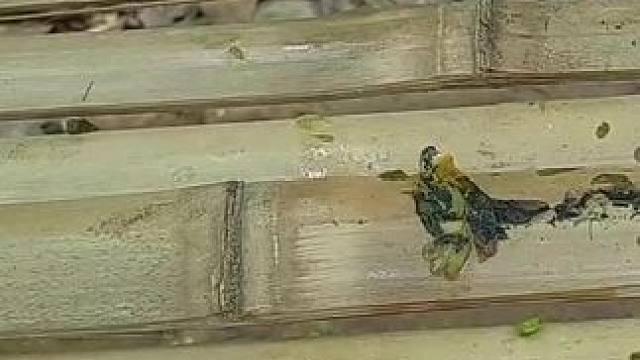 我发布了一个新视频，快来围观吧！