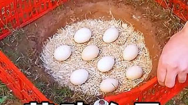 #劳动人民的智慧 #高手在民间 #神操作 #机械设备 #打工人