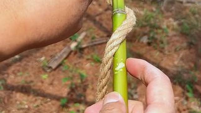 #生活小妙招 #实用小技巧 #绳结技巧 #绳结 #户外绳结