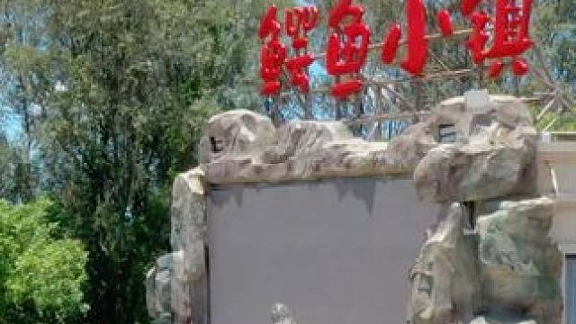 "鳄"界精品#鳄鱼 #鳄珍 #鳄鱼皮带