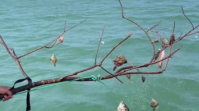 这样也可以钓到鱼，哈