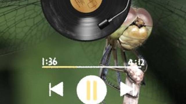 #番茄畅听音乐版 #劲爆dj #热舞