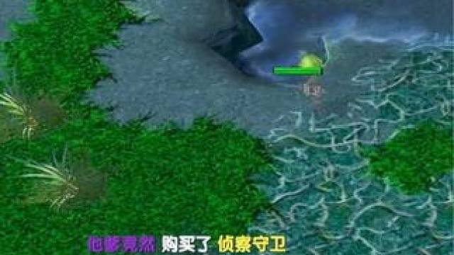 （一）大熊臻享版，五级红杖帕克