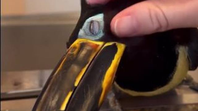 瞧把它舒服的死样子