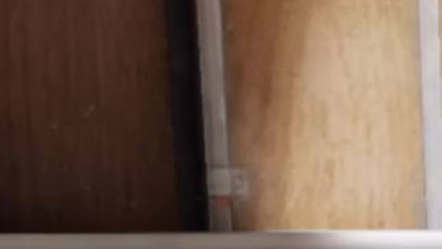 《勇敢者的奖励是两个大金吗？》