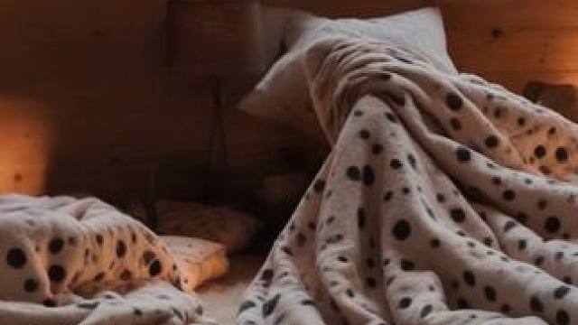 暴风雪中的舒适小屋，享受壁炉边的呼啸声与舒适氛围吧！ #白噪音 #助眠视频 #解压助眠