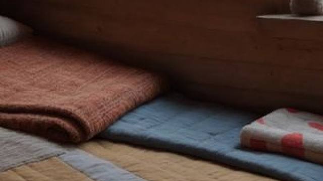 史诗级的暴风雪袭来，躲在温暖的庇护小屋，聆听着风雪的嘶吼声 #白噪音 #助眠声音 #睡眠音乐 #催眠