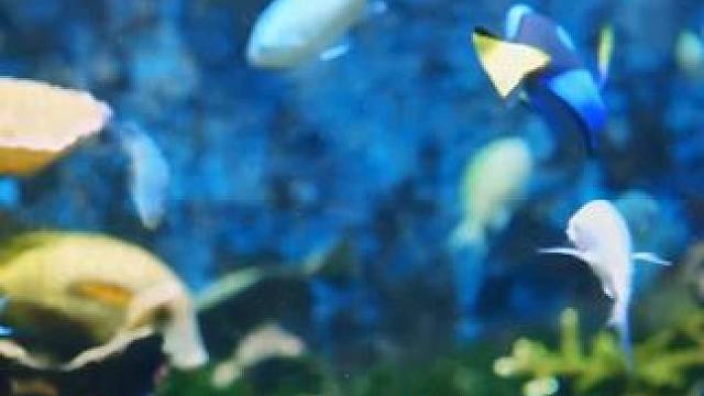 点击左下角下载番茄畅听 #番茄畅听