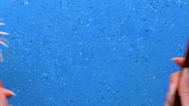 食材存储 小妙招#小妙招 #小妙招大作用 #小妙招分享