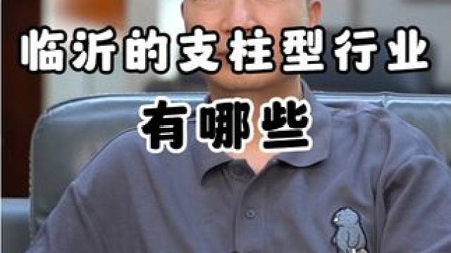 临沂的支柱型行业有哪些#临沂 #临沂临沂临沂临沂 #国金科创 #临沂企业