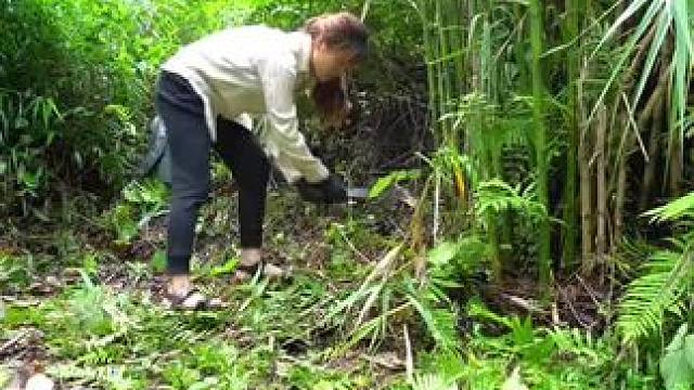 #野外生活纪录片 #露营人的一天是这样的 #荒野建造 #荒野求生 #解压