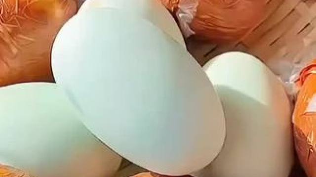 广西北海海鸭蛋!薄盐多油!咸淡适中!用的北海红树林吃小鱼小虾长大的麻鸭蛋!少盐慢腌!蛋黄起沙流油!特