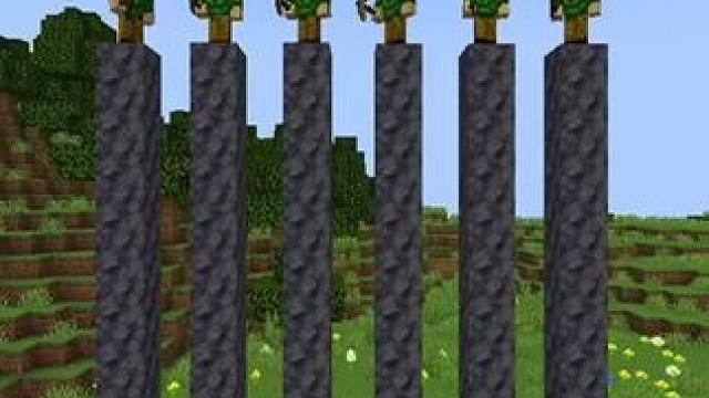 主页有我的世界手机版宝可梦 #我的世界