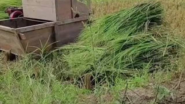 我发布了一个新视频，快来围观吧！