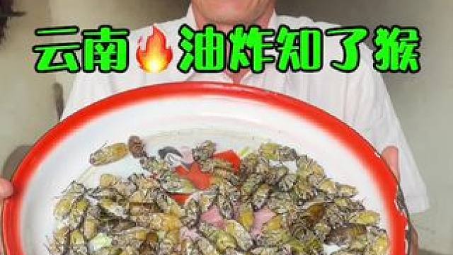 这云南的油炸知了 你们吃过吗？ #美食 #记录我的农村生活 #知了猴 #我的乡村生活 #支持三农扶持
