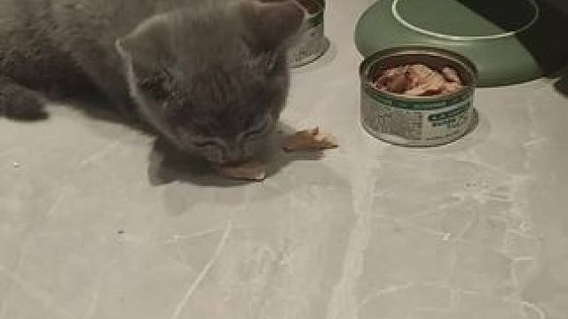 解压视频，请讲音量调到最大