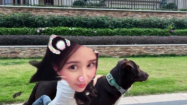 展示绝活遛狗大师