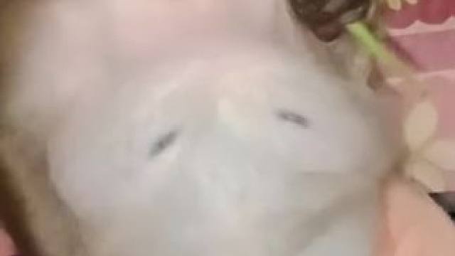 卧槽没见过这么胖的吗喽