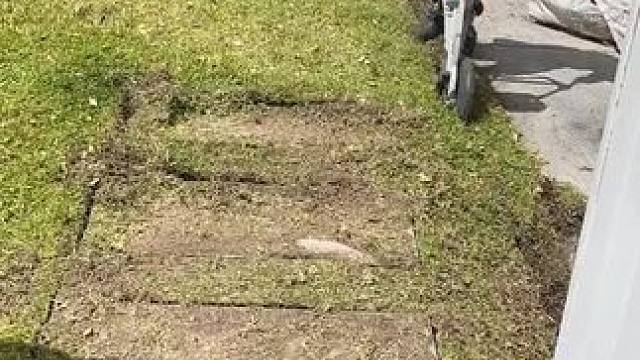 我发布了一个新视频，快来围观吧！