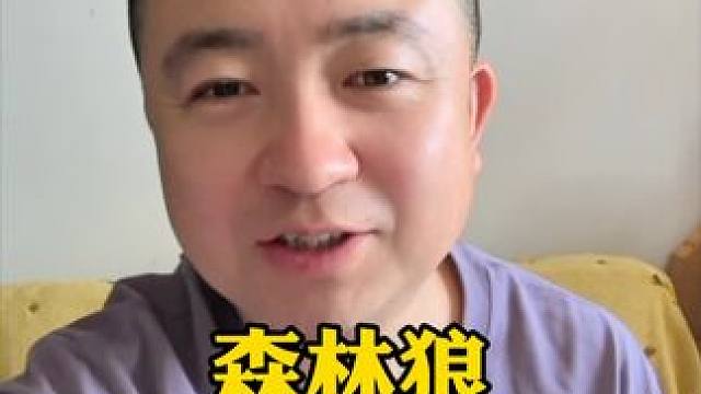 #独行侠 3比0#森林狼 拿到西决赛点！#东契奇 #欧文 #爱德华兹